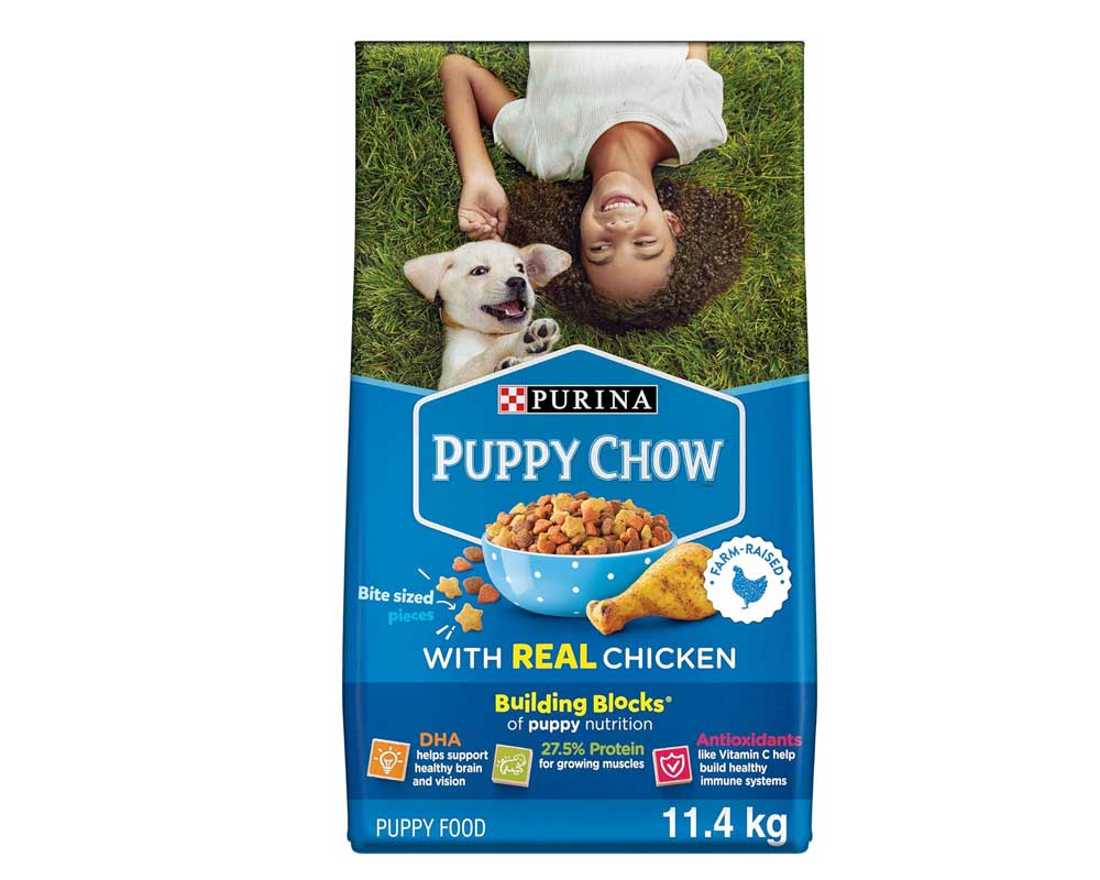 10 Best Puppy Food in Canada 2024: Top Brands