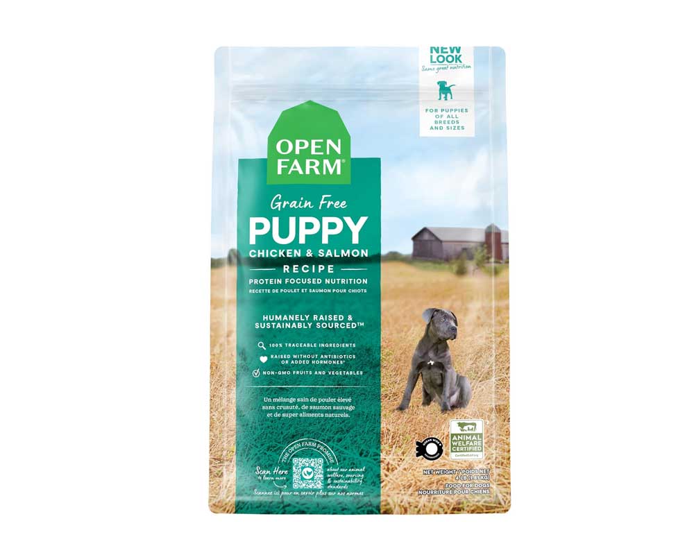 10 Best Puppy Food in Canada 2024: Top Brands