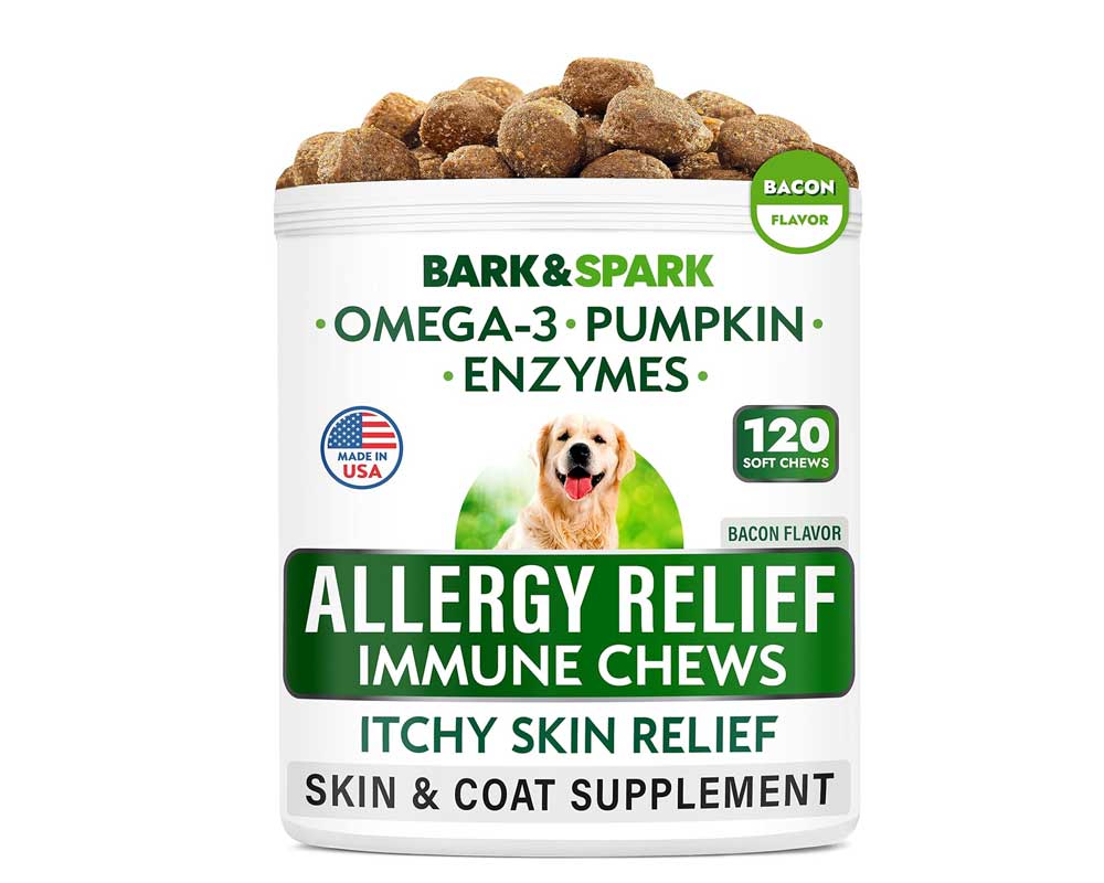 Best Puppy Food for Allergies