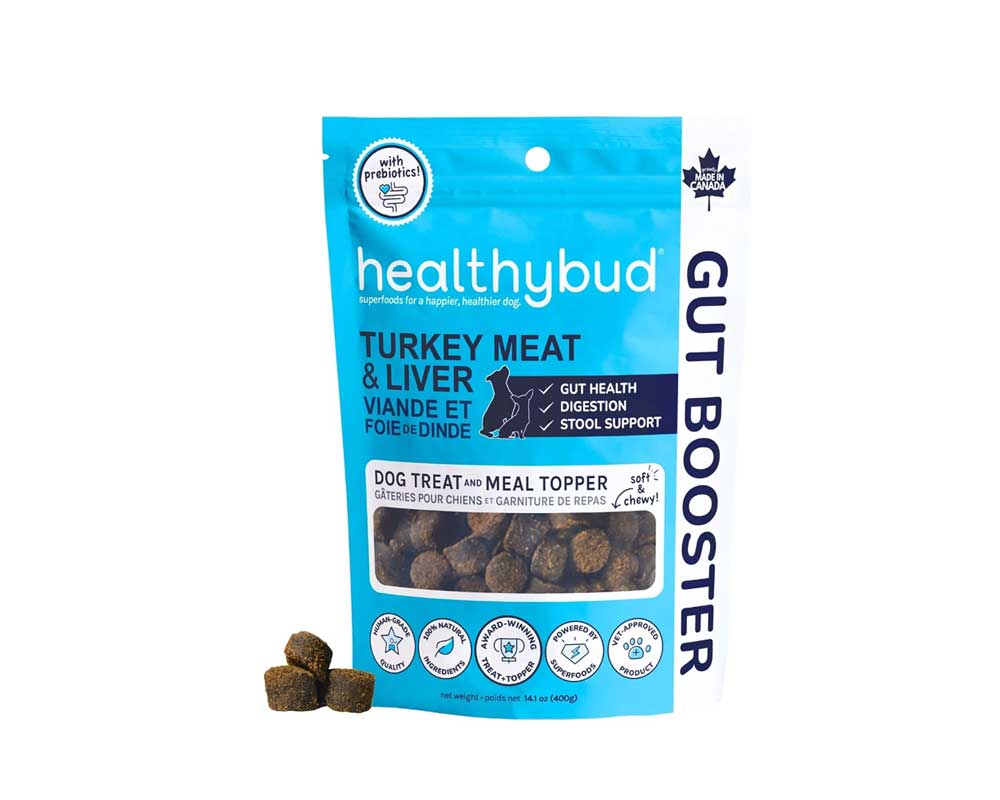 10 Best Puppy Food in Canada 2024: Top Brands