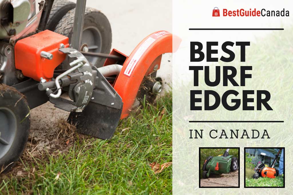 10 Best Turf Edger in Canada 2024: Top Brands