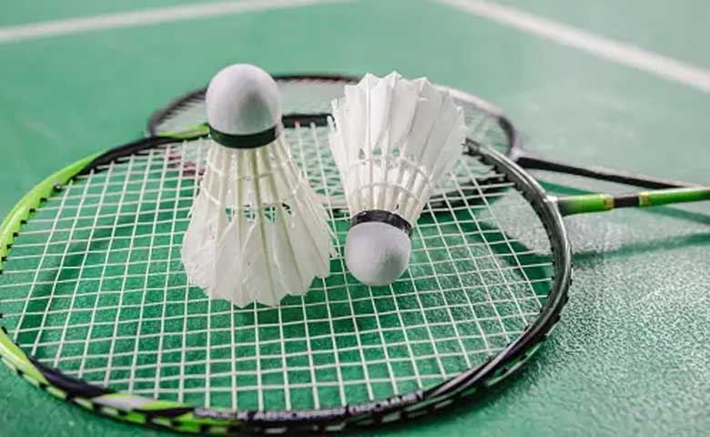 Badminton Racket Components