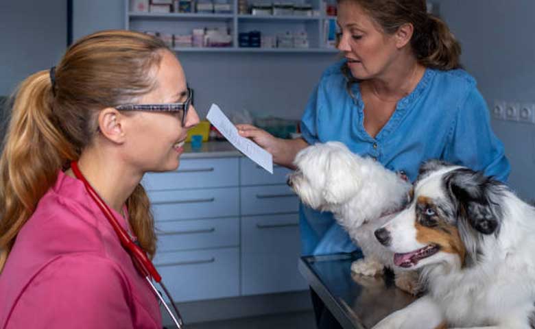 Consulting Vet on Puppy Food