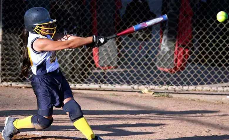 Slowpitch vs Fastpitch Bats